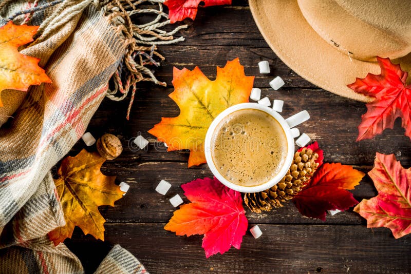 Autumn Flatlay with Cappuccino or hot chocolate. Autumn composition concept background. Cappuccino coffee or hot chocolate cup, with autumn bright leaves, pine stock photos Autumn Flatlay with Cappuccino or hot chocolate. Autumn composition concept background. Cappuccino coffee or hot chocolate cup, with autumn bright leaves, pine stock photos