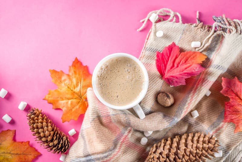 Autumn Flatlay with Cappuccino or hot chocolate. Autumn composition concept background. Cappuccino hot chocolate cup, with autumn bright leaves, pine cones royalty free stock images Autumn Flatlay with Cappuccino or hot chocolate. Autumn composition concept background. Cappuccino hot chocolate cup, with autumn bright leaves, pine cones royalty free stock images