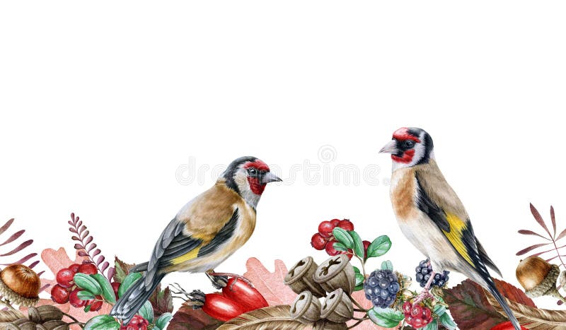 Autumn floral seamless border. Two goldfinch birds on endless flower decoration. Harvest seasonal seamless border. Wild