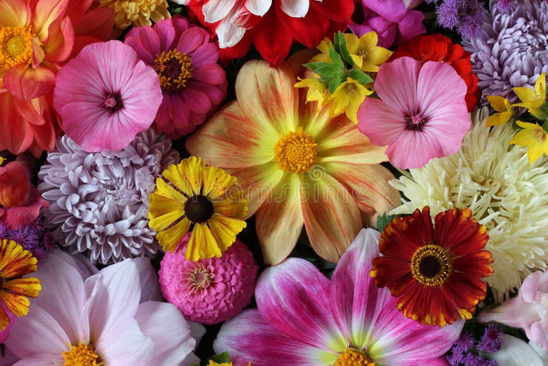 Flower Background. Effect of a Kaleidoscope. Stock Image - Image of ...