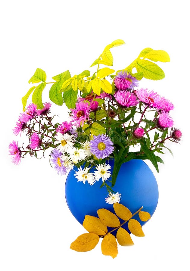 Autumn flowers in blue vase