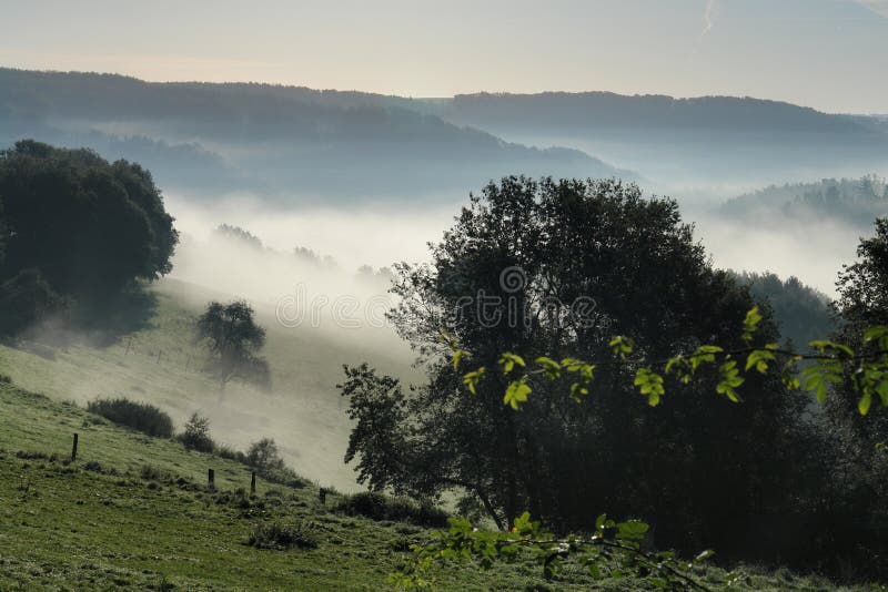 Autumn Fog