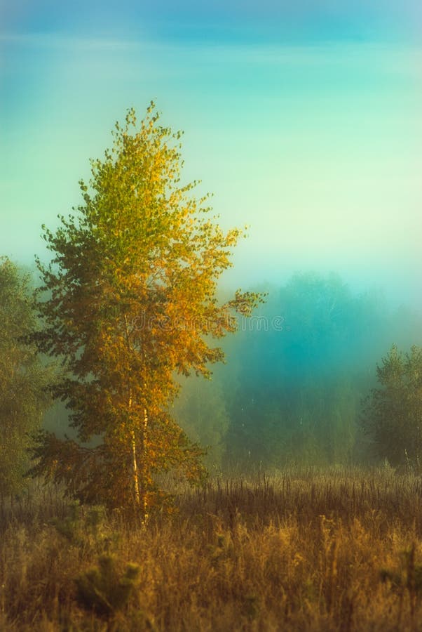 Autumn foggy morning stock photos Autumn foggy morning stock photos