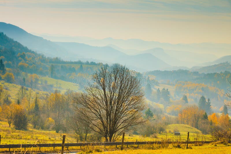 Autumn foggy mountains landscape Slovakia