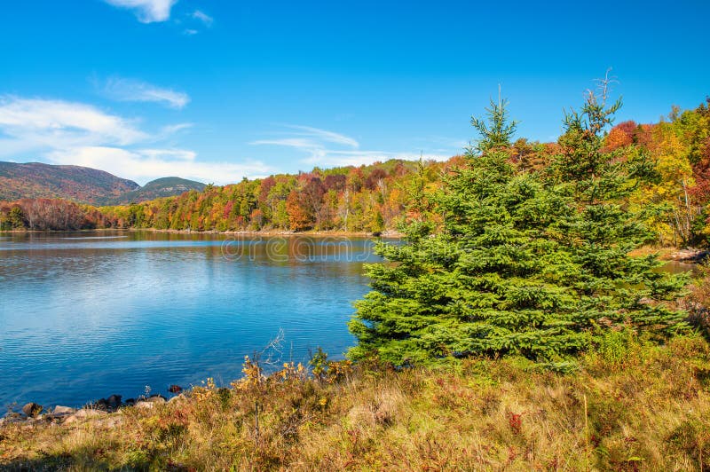 Autumn Foliage Colors of Acadia National Park. Trees and Lake, Maine ...