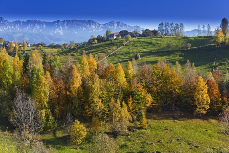 Autumn foliage and deep blue sky in the mountains