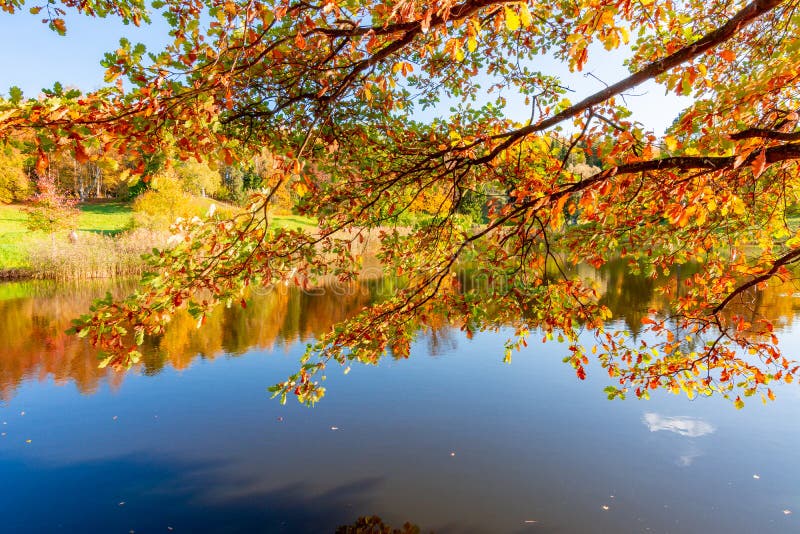 Autumn Foliage in Pavlovsky Park, Pavlovsk, St. Petersburg, Russia ...