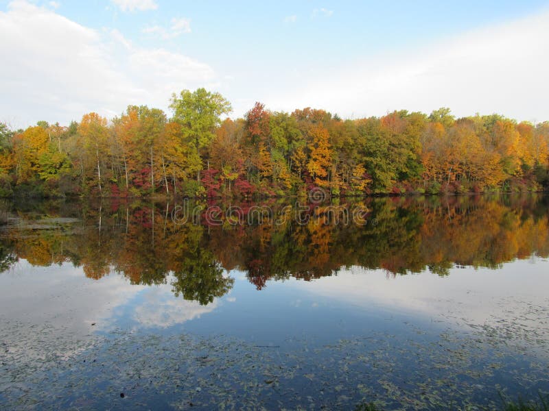 Autumn Foliage reflecting in the water at Lily Lake