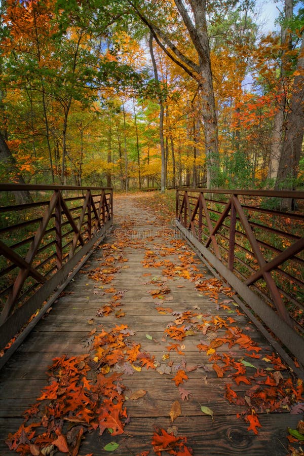 Autumn Foot Bridge