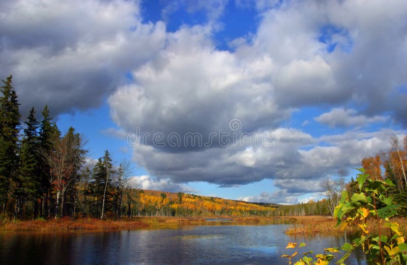 Autumn forest lake royalty free stock photos