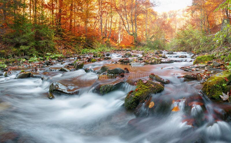 Autumn Forest Mountain Stream Beautiful Rocks Covered With Moss