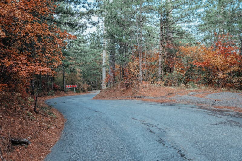 Autumn Forest. Mystic Charming Enchanting Landscape with a Road in the ...