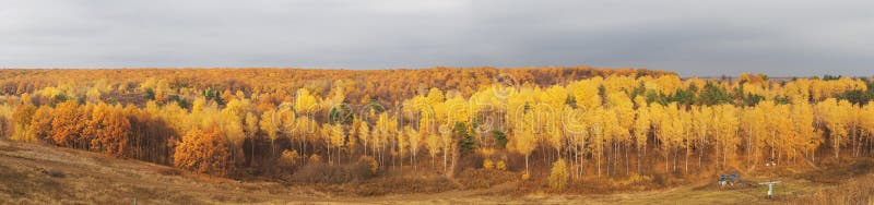 Autumn forest october panorama royalty free stock photo Autumn forest october panorama royalty free stock photo