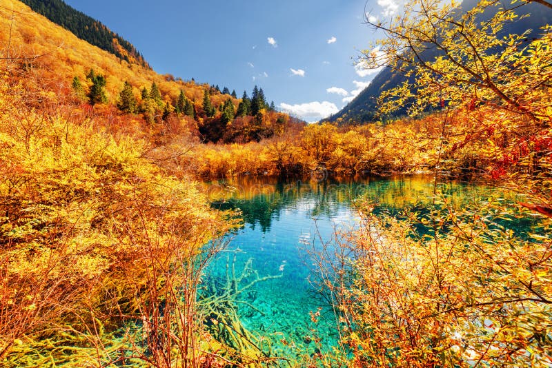 Autumn Forest Reflected In Scenic Pond With Azure Water Stock Photo