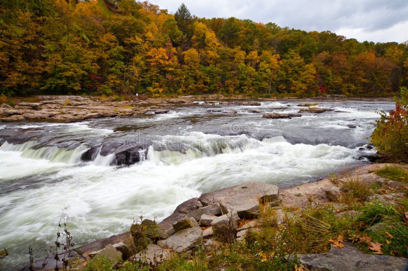 Autumn forest rocks river in the woods