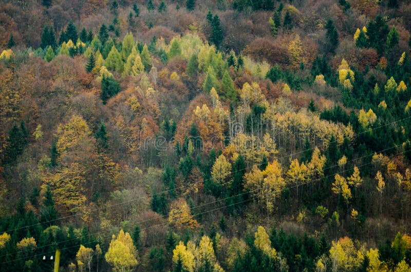 Jesenné textúry lesov - na slovenských horách