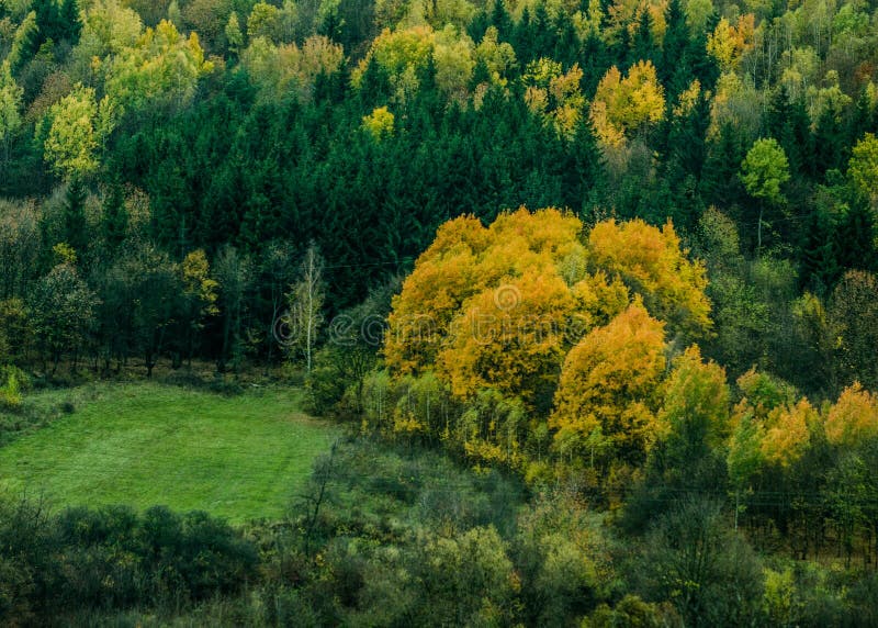 Jesenné textúry lesov - na slovenských horách