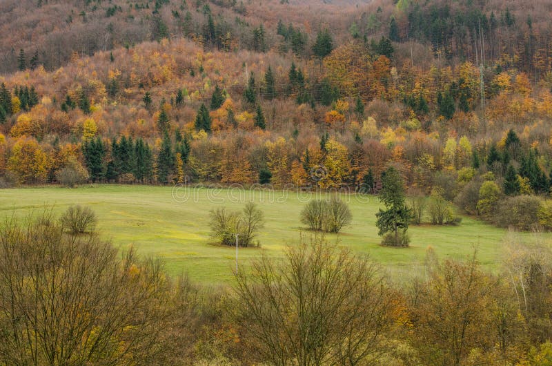 Podzimní lesní textury - ve slovenských horách