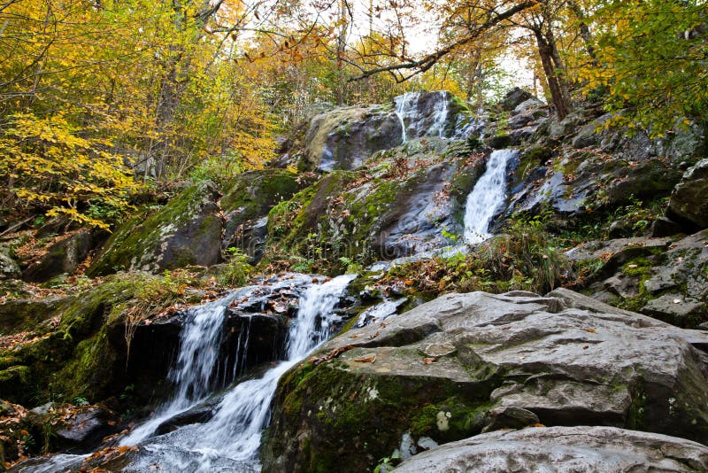 Autumn Forest Waterfall