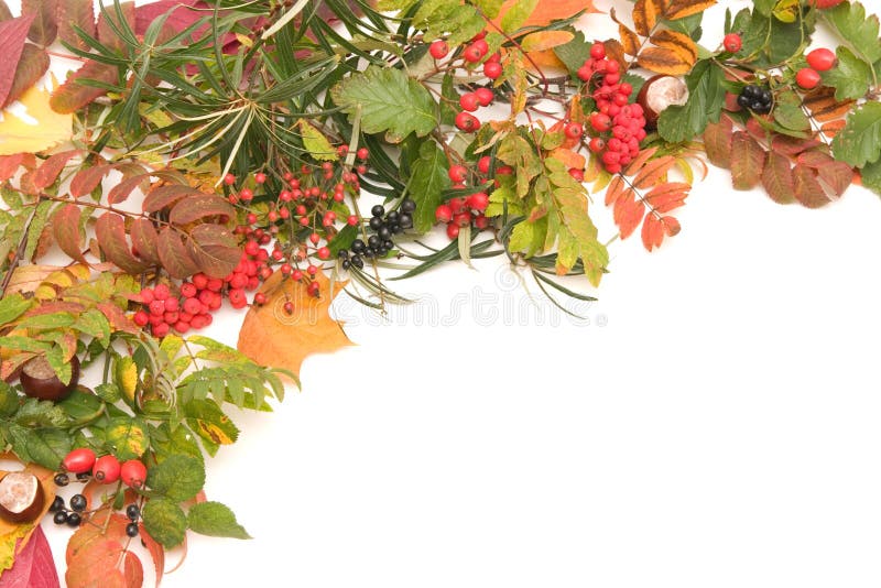 Autumn frame stock photography