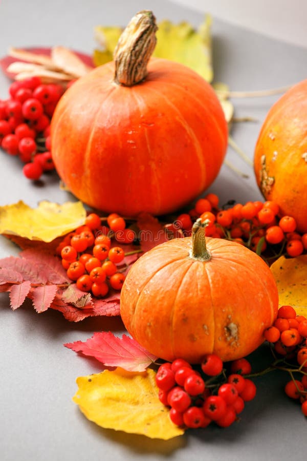 Autumn frame with dry leaves, natural and decorative pumpkins composition on gray background, seasonal halloween, thanksgiving stock photo Autumn frame with dry leaves, natural and decorative pumpkins composition on gray background, seasonal halloween, thanksgiving stock photo