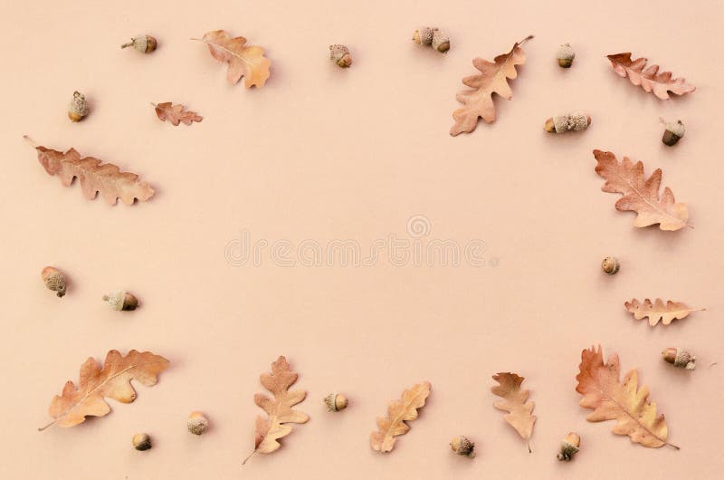 Autumn Frame mockup made of oak leaves and acorns on beige background. Fall concept. Top view, copy space