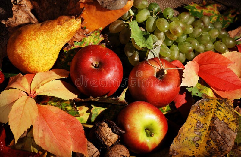 Autumn fruits