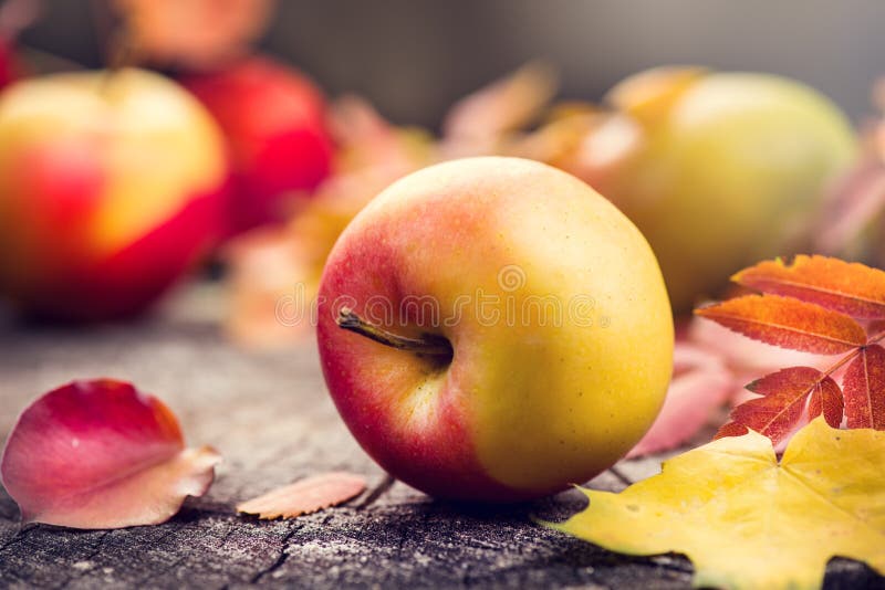 Autumn fruits and colorful leaves over old cracked wooden background. Fall. Thanksgiving