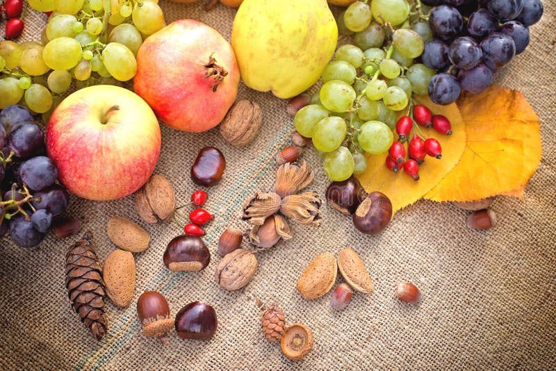 Autumn fruits Healthy food