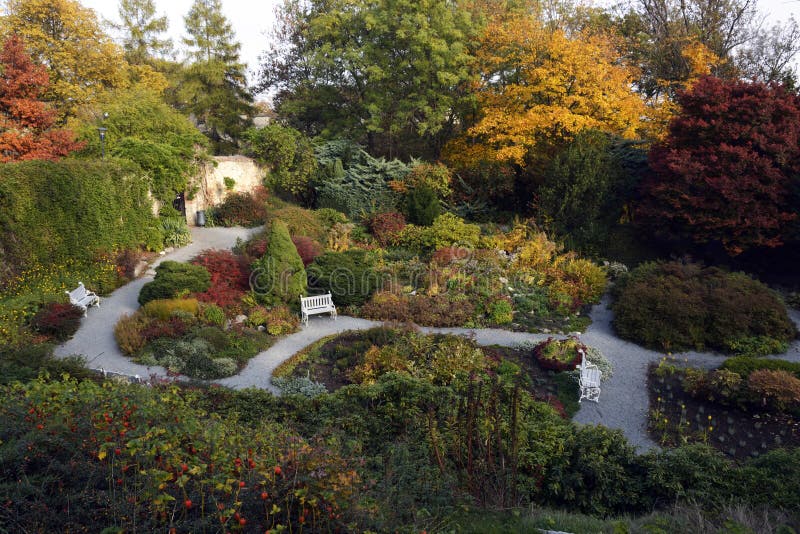 Autumn garden