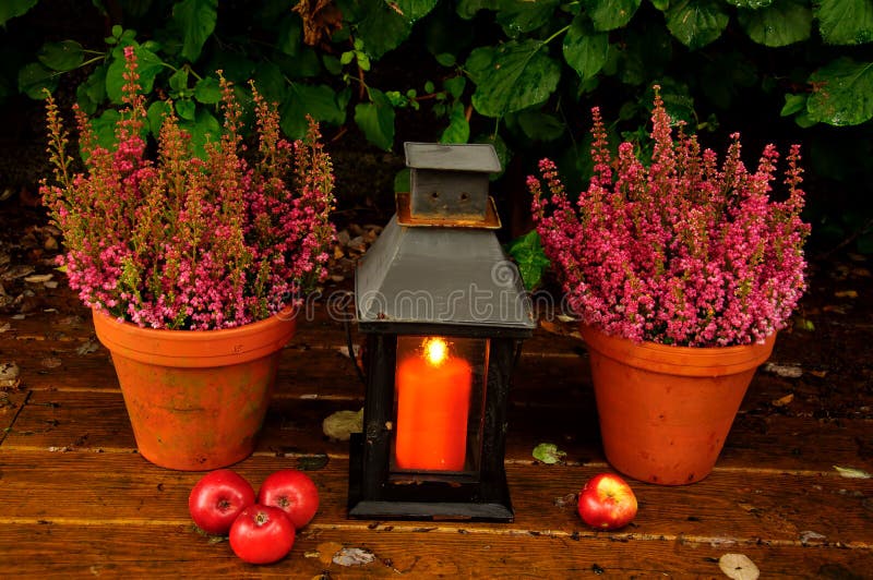 Autumn garden decor