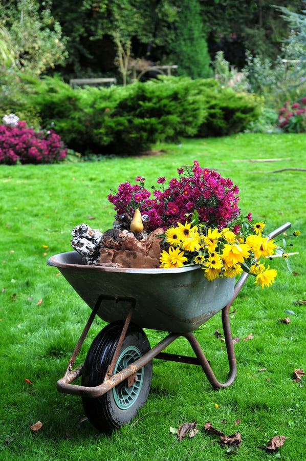 Autumn garden harvest stock images Autumn garden harvest stock images