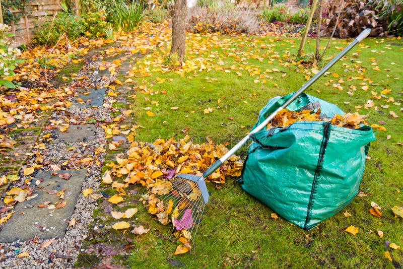 Autumn Garden Maintenance stock photo. Image of rake 16840464