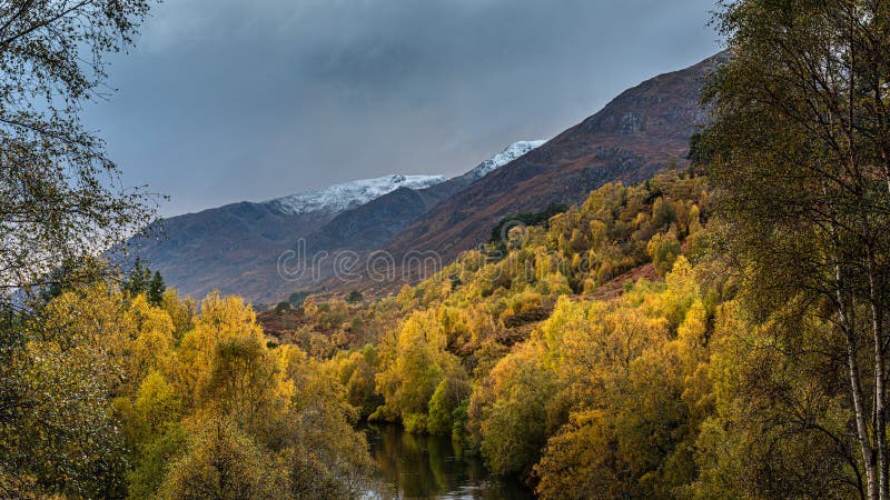 Autumn colours in Glen Affric, scotland