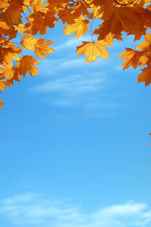 Autumn Glory Vibrant Orange and Yellow Fall Leaves Frame a Serene and Bright Blue Sky royalty free illustration