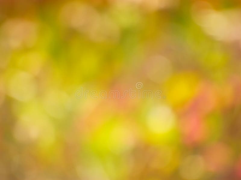 Autumn Gold Background - Blur Stock Photo stock photography Autumn Gold Background - Blur Stock Photo stock photography