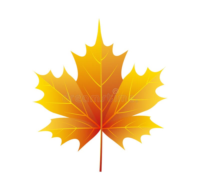 Autumn Golden Yellow Leaf Vector Illustration Logo