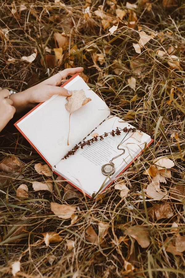 In the autumn grass covered with fallen dry leaves lies an open book of poetry, in it nested stem of grass and old medallyon stock image In the autumn grass covered with fallen dry leaves lies an open book of poetry, in it nested stem of grass and old medallyon stock image
