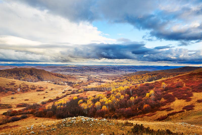 Autumn grassland cloudscape and forest