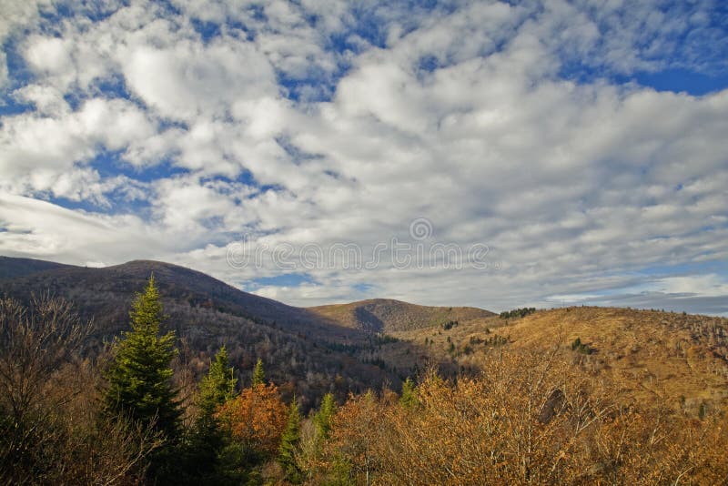 Autumn, Graveyard Fields Area