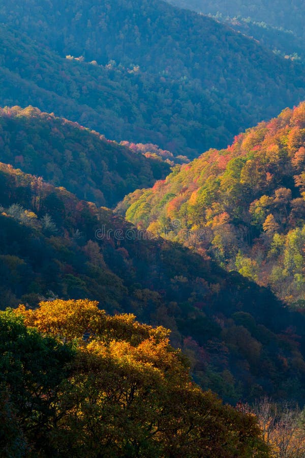 Autumn in the Great Smoky Mountains. Autumn Color in the Great Smoky Mountains National Park, North Carolina royalty free stock images Autumn in the Great Smoky Mountains. Autumn Color in the Great Smoky Mountains National Park, North Carolina royalty free stock images
