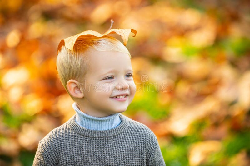 Autumn happy child have fun and playing with fallen golden leaves. Cute little boy enjoy autumn nature has happy face