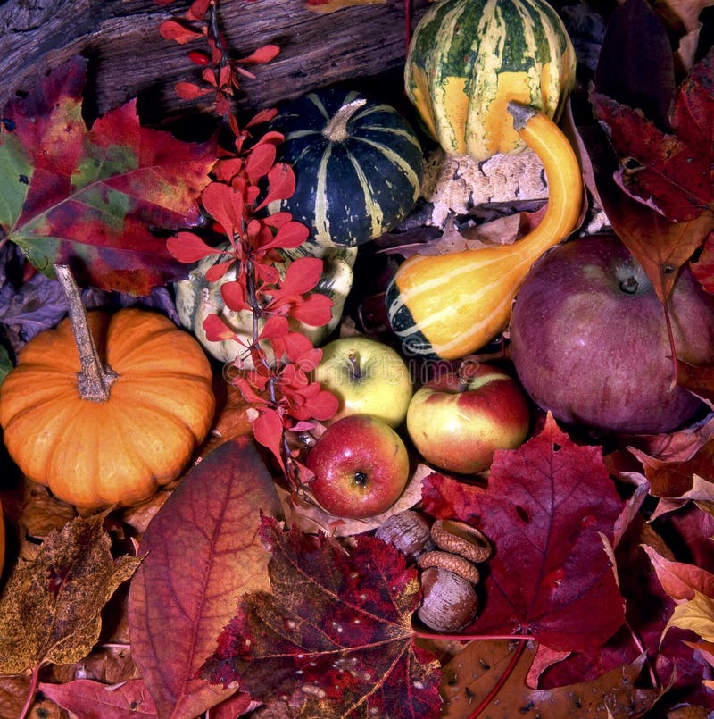 Autumn harvest