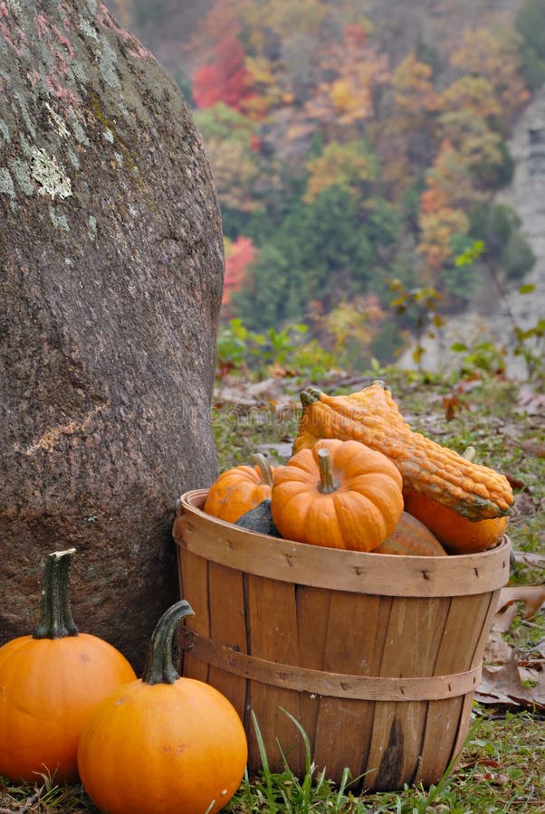 Autumn Harvest