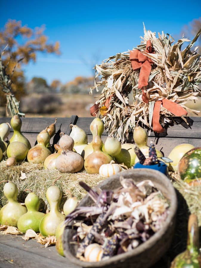 Autumn Harvest Bounty in Oktober royalty-vrije stock afbeeldingen Autumn Harvest Bounty in Oktober royalty-vrije stock afbeeldingen