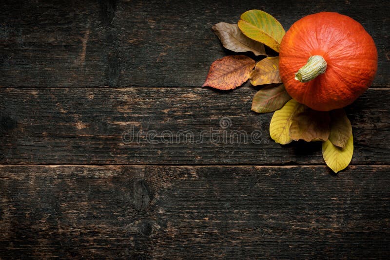 Autumn Harvest and Holiday still life. Happy Thanksgiving Background. Pumpkin and fallen leaves on dark wooden background.