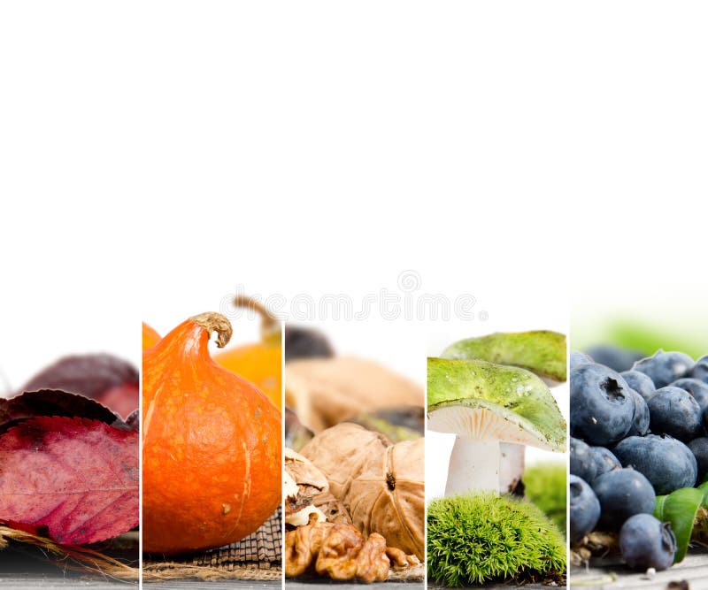 Autumn Harvest Mix image libre de droits Autumn Harvest Mix image libre de droits