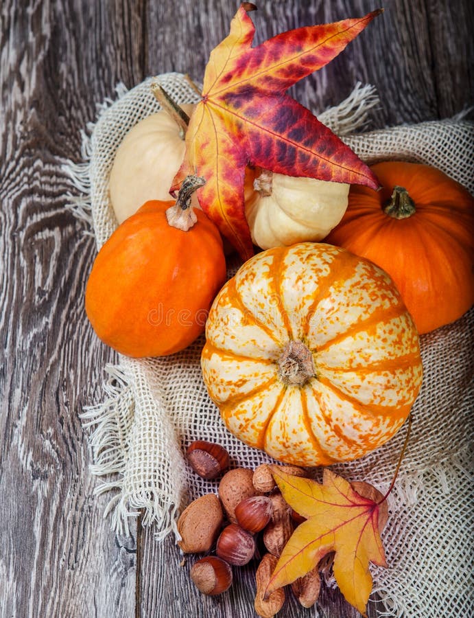 A Bountiful Autumn Harvest Stock Photo Image Of Lush 27051084