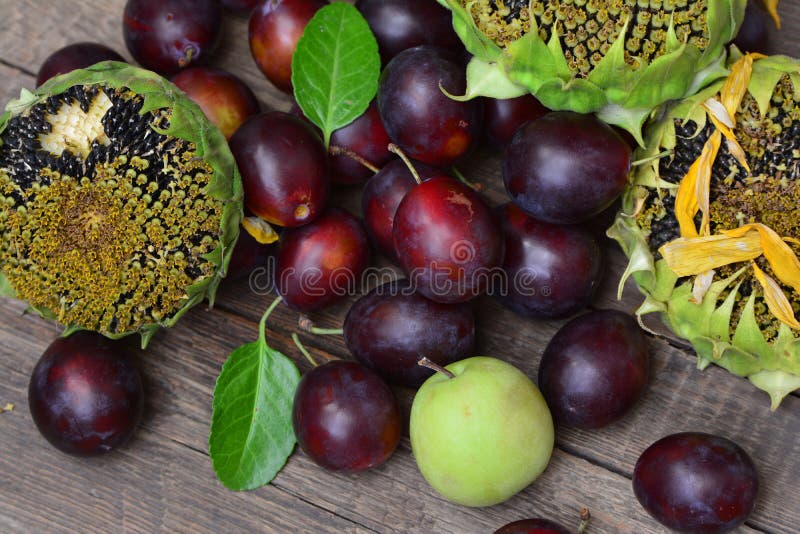 Autumn harvest, ripe fruits