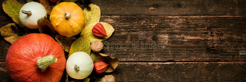 Autumn Harvest- und Feiertagsstillleben Glückliche thanksging Fahne Auswahl von verschiedenen Kürbisen auf dunklem hölzernem Hint